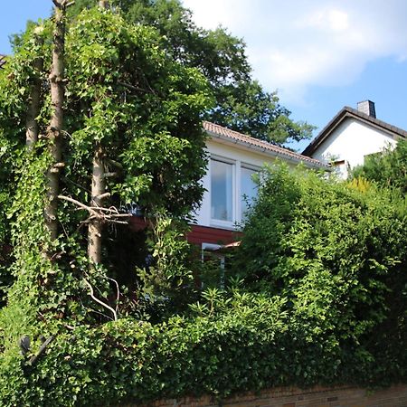 Ferienwohnung Zum Rosengarten West015 Westerwald Driedorf Eksteriør bilde