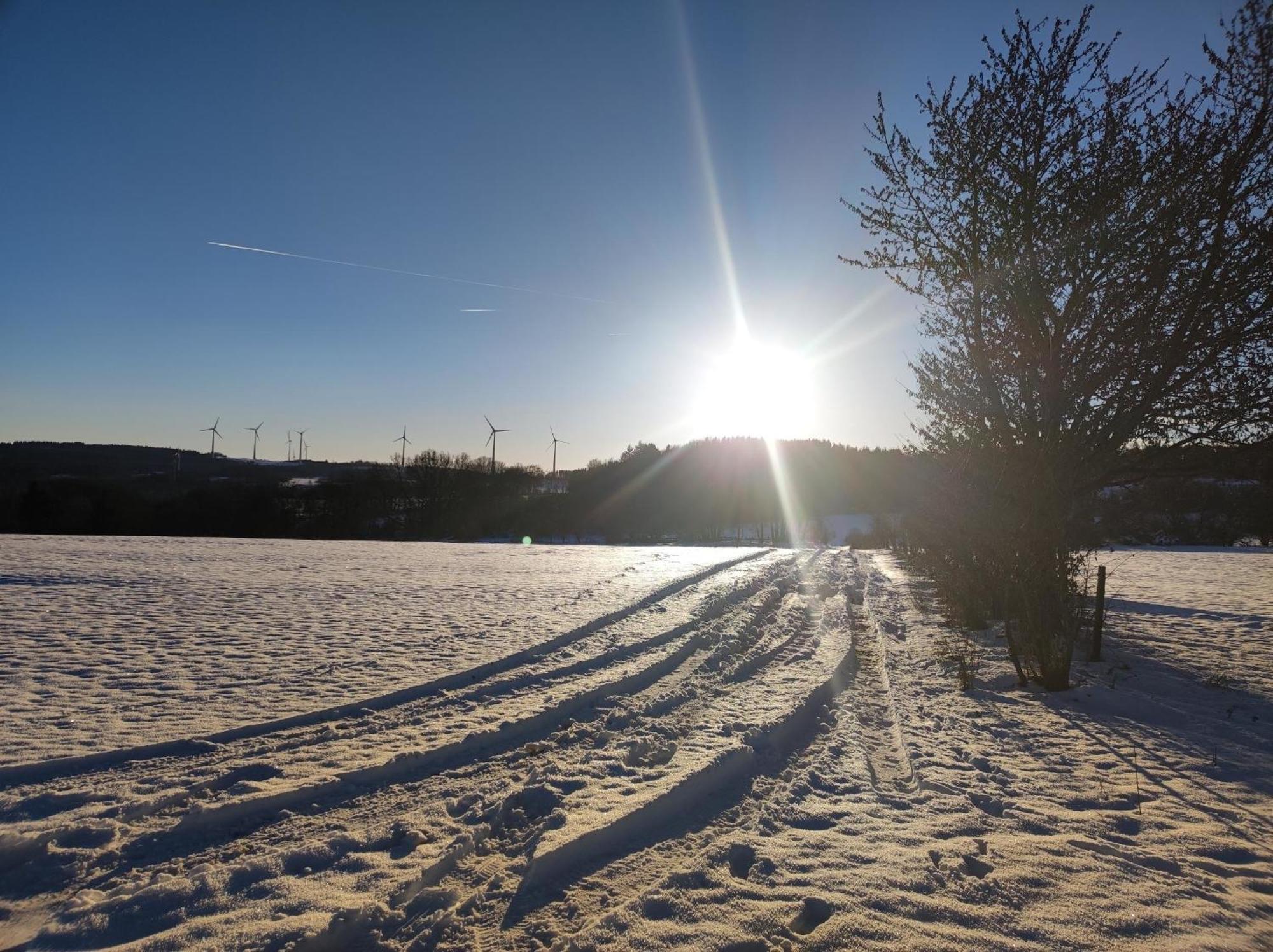 Ferienwohnung Zum Rosengarten West015 Westerwald Driedorf Eksteriør bilde