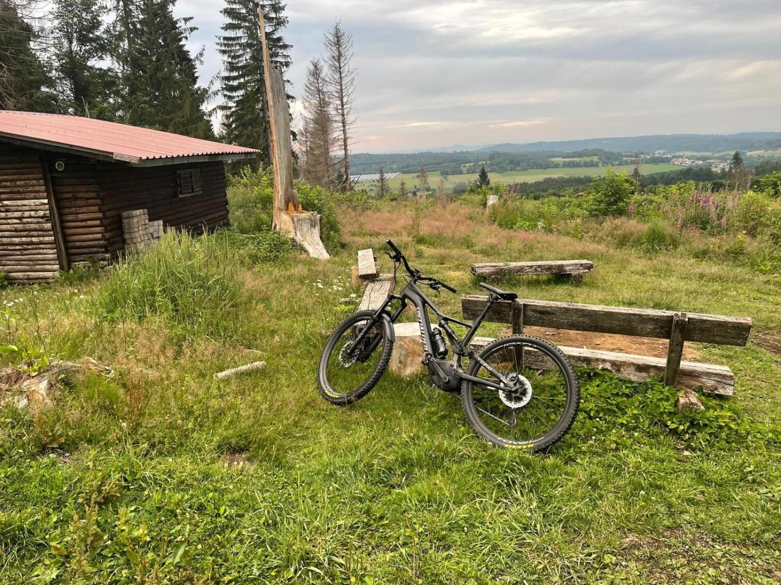 Ferienwohnung Zum Rosengarten West015 Westerwald Driedorf Eksteriør bilde